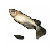 ex
